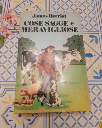 Libro Cose sagge e meravigliose