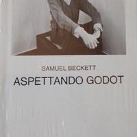 Aspettando Godot