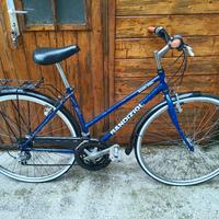 Bicicletta Bandiziol 21 rapporti