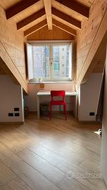 Camera singola vista Mole con bagno a uso singolo