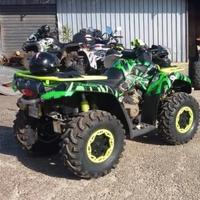 Can-Am exc Altro modello - 2010