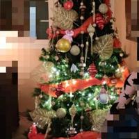 Albero di Natale completo di addobbi