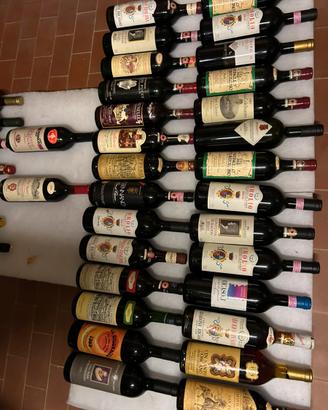 Bottiglie di vino