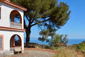 Villa Panoramica con vigna