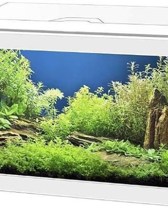 ACQUARIO 17LT bianco con filtro+riscaldatore+acces