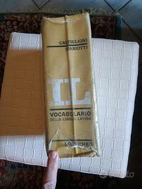 vocabolario