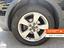 Immagine 11