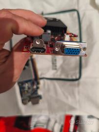 schede grafiche PC fisso