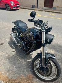 Benelli Leoncino 500, Aprile 23