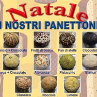 Panettone Artigianale produzione 5/12