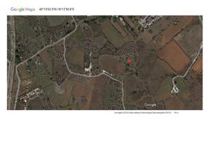 Vendita terreni agricoli