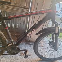 bicicletta elettrica