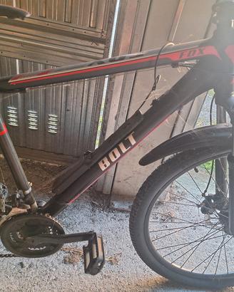 bicicletta elettrica