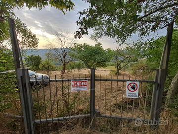 Terreno agricolo 2 mila mt