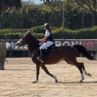 Doppio pony con documenti