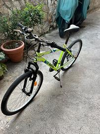 Bici aurelia