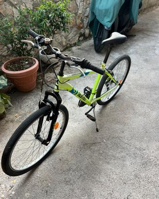 Bici aurelia