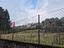 Immagine 6