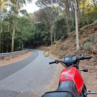 Bmw r 45 - conservata