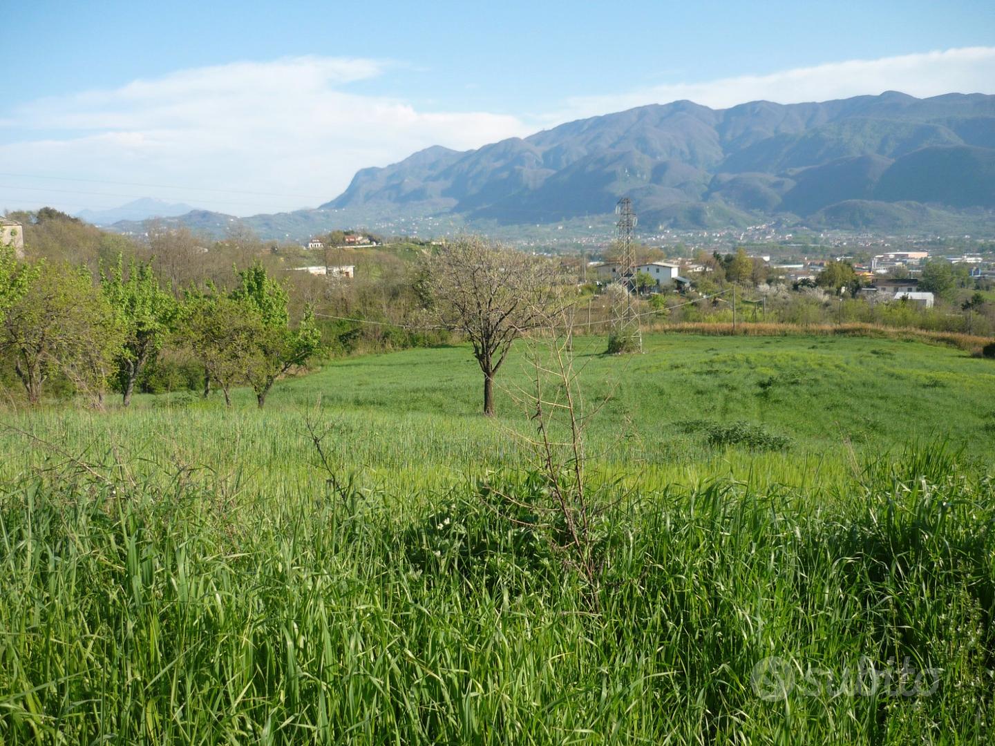 Terreno agricolo con fabbricato bifamiliare - Vista 4