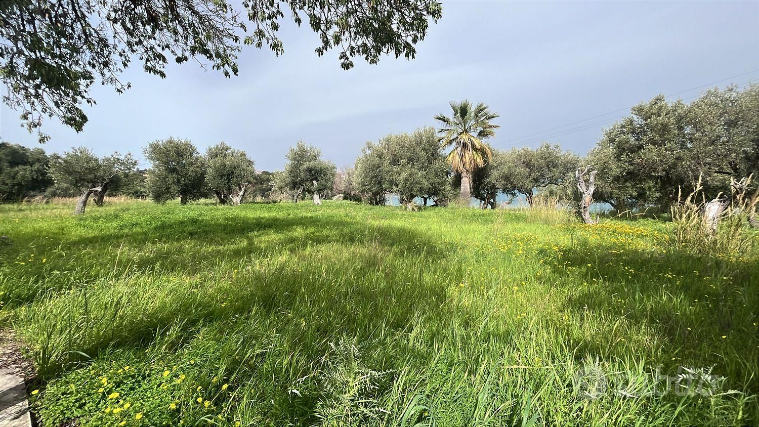 Terreno, Cefalù. - Vista 2