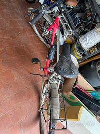Bicicletta mountain bike