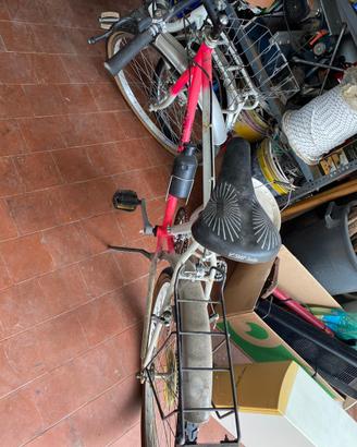 Bicicletta mountain bike