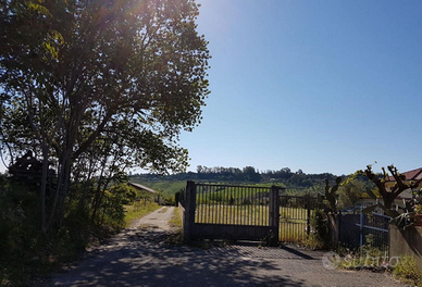 Terreno agricolo Davoli Marina