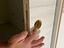 Immagine 18
