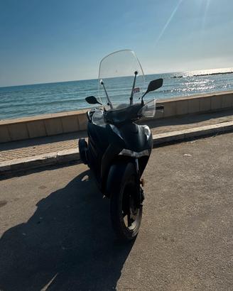 sh 125 2024 sport