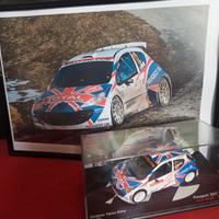 🔥Lotto modellino auto rally WRC🔥