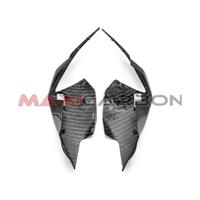 Fiancate lateral codone carbonio BMW S1000RR 19/21