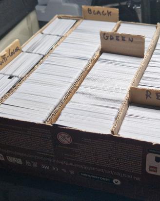 Lotto Bulk Carte e Accessori Magic The Gathering