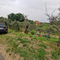 Giucano Uliveto 1500 mq confine strada