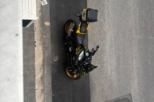 QJ Motor SRT 800 SX