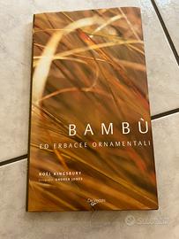 BAMBÙ ED ERBACEE ORNAMENTALI