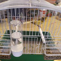 Meticcio cantore con timbrado