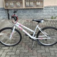 Bici mountain bike