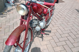 Guzzino b