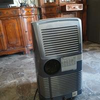 condizionatore pinguino 