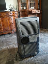 condizionatore pinguino 