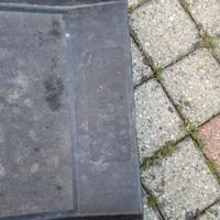 AniOne Rampa Pieghevole