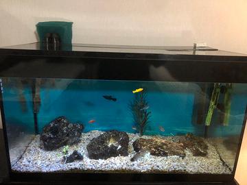 Acquario Askoll pure led - 120 litri