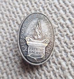 Spilla Distintivo Fascismo Fascista ANFCG Guerra