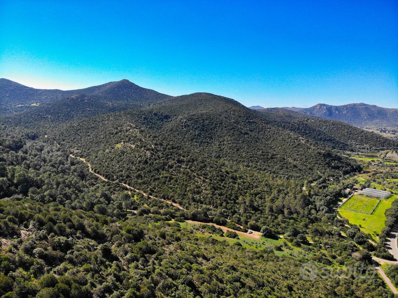 Area verde a Teulada - Vista 3