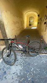 Bici twitter storm 2.0