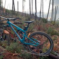 RockyMountain altitude 770 msl misura L