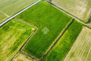 TERRENO A CASALPUSTERLENGO