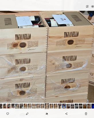Vino Tignanello 2022