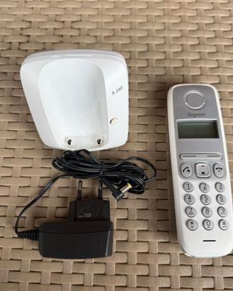 Siemens Gigaset A21 Telefono Cordless  Bianco